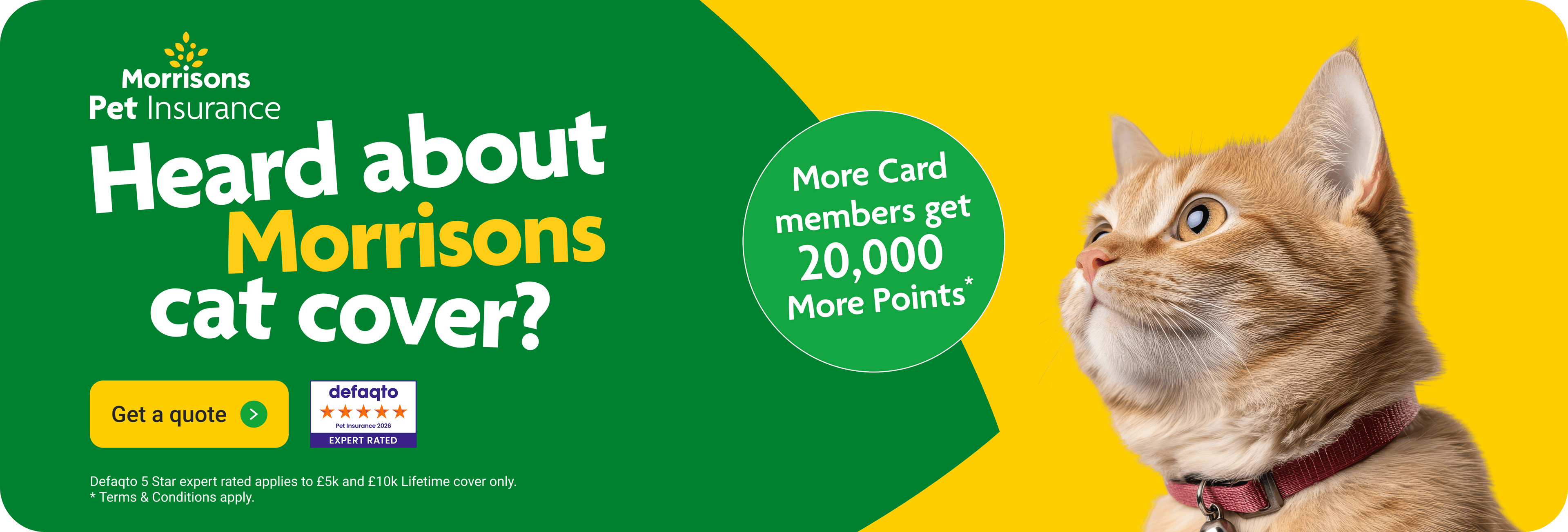Heard about morrisons cat cover? More card member benefits available*. Click here to get a quote.