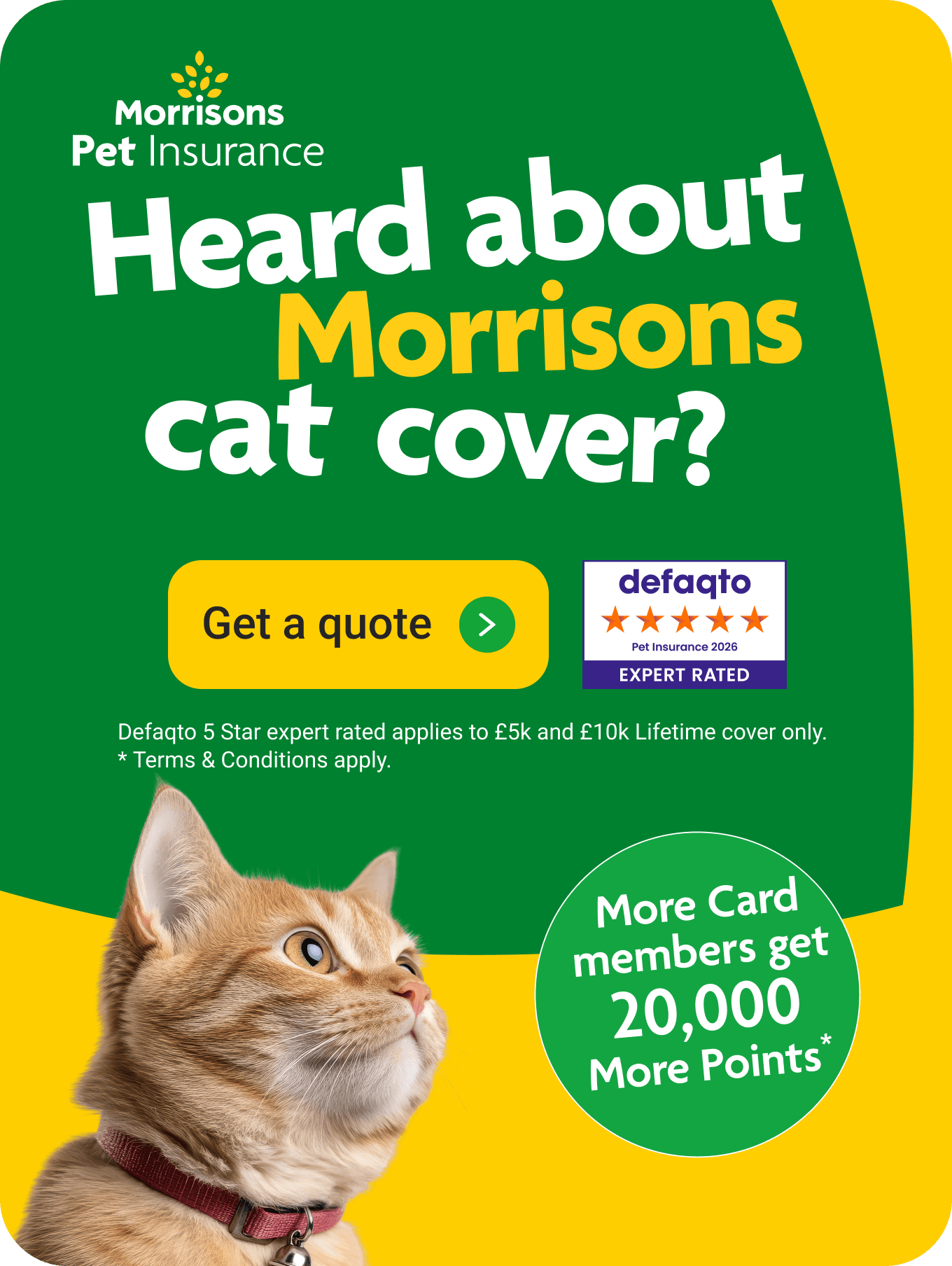 Heard about morrisons cat cover? More card member benefits available*. Click here to get a quote.