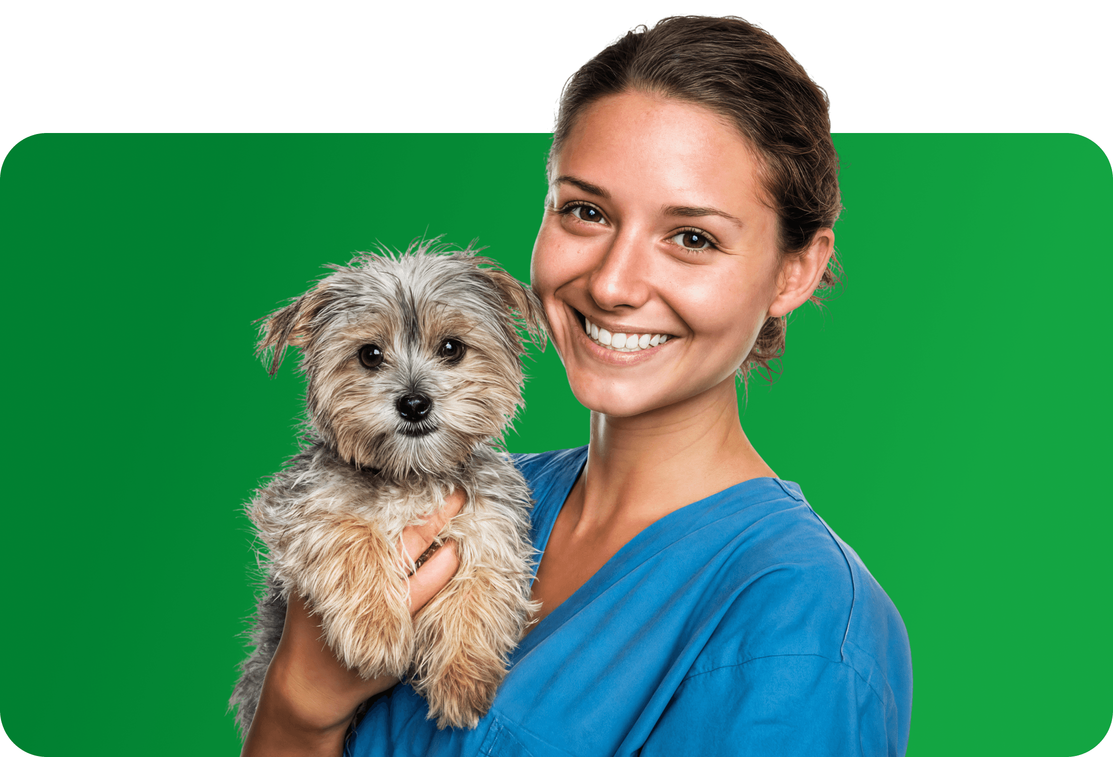 Image of a woman holding a dog with a green background